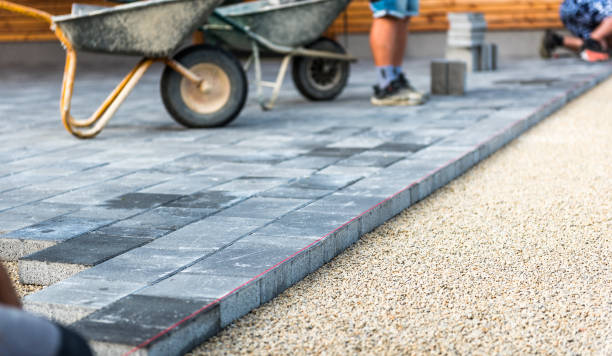 Best Concrete Walkway Installation  in Monte Vista, CO
